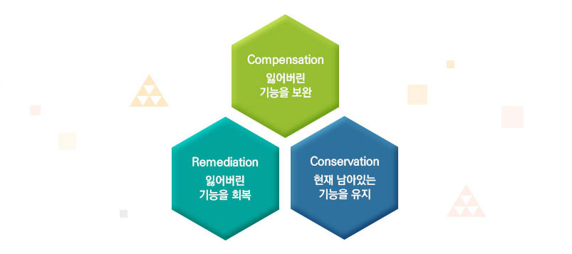 그림 - 치매의 치료 원칙. 읽어버린 기능을 보안(Compensation), 잃어버린 기능을 회복(Remediation), 현재 남아있는 기능을 유지(Conservation)