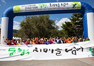 충북 치매극복 전국걷기대회 사진