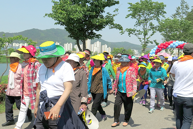 전남 치매극복 전국걷기대회 사진